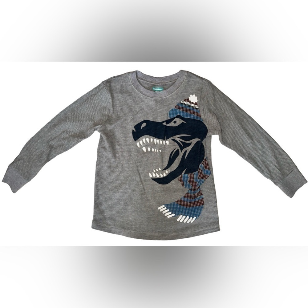 Boys Dino long sleeve 4T